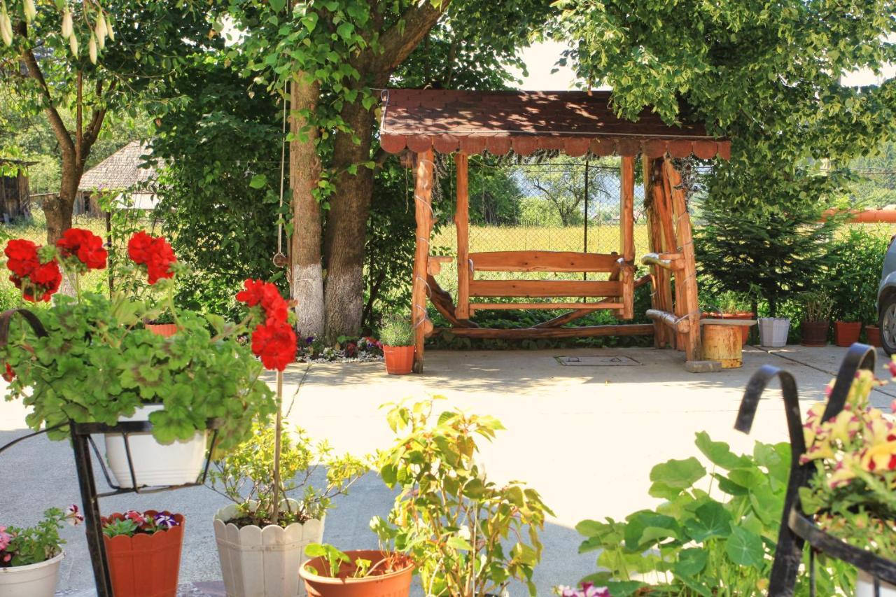 Pensiunea Paradiso Poiana Teiului Dış mekan fotoğraf