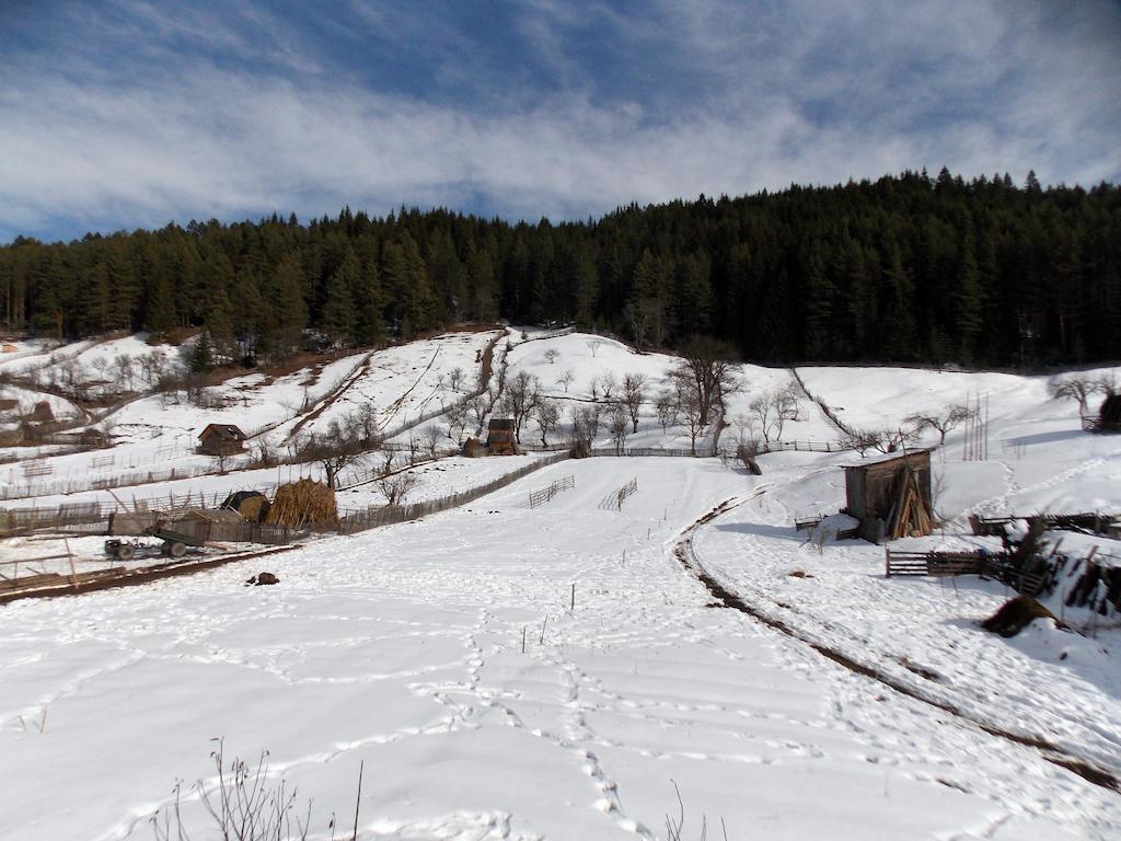 Pensiunea Paradiso Poiana Teiului Dış mekan fotoğraf